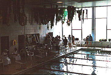 [Photo of pool decor]