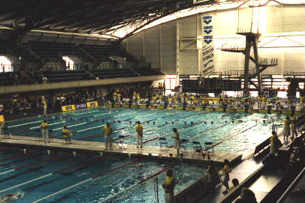 [Photo of pool]