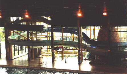 [Photo of slide]