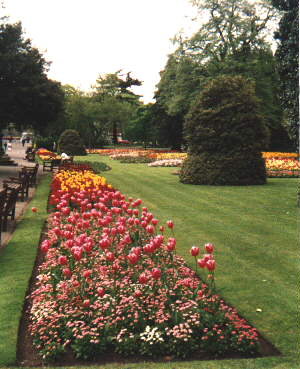 [Photo of town park]