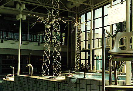 [Photo of pool iron work]