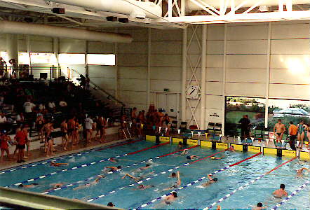[Photo of pool seating]